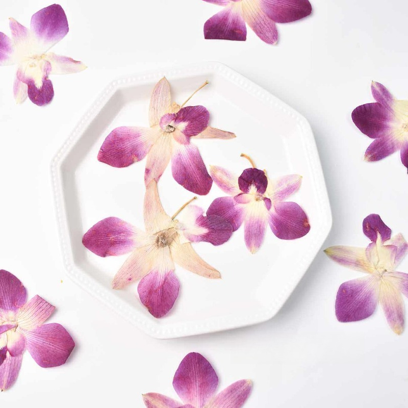 4pcs,Real Pressed Butterfly Or - Resin Craft Ideas recension och pris