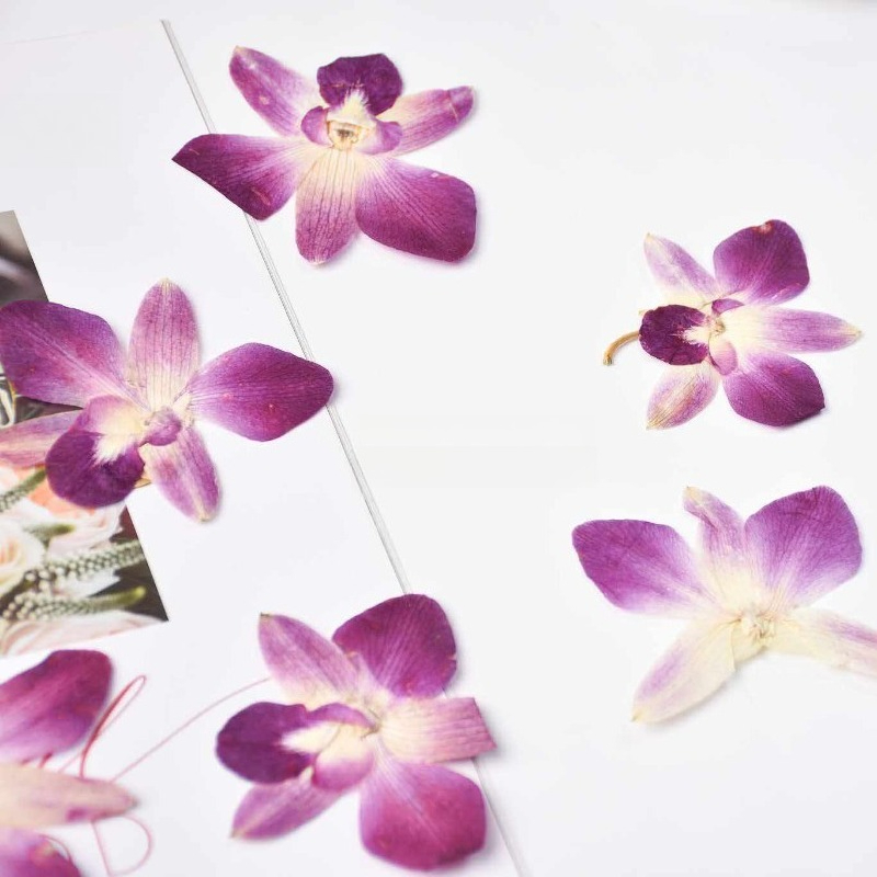 4pcs,Real Pressed Butterfly Or - Resin Craft Ideas recension och pris